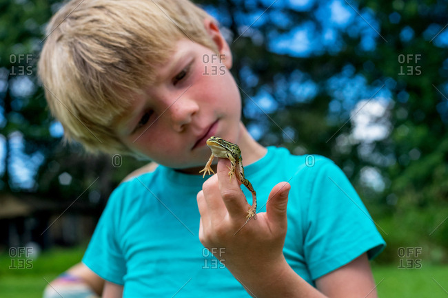 Little boy with frog in the summer