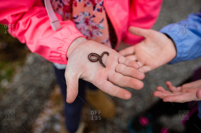 Child holding earthworm in palm
