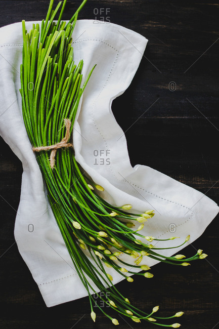 Bundle of garlic chives tied with twine on a cloth