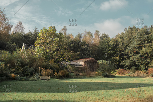 Private Backyard With Barn And Small Greenhouse In Autumn Stock