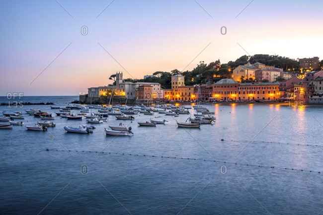 Italy- Liguria- Sestri Levante at dusk