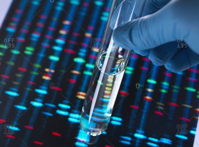 A test tube with a sample being held in front of DNA results on screen
