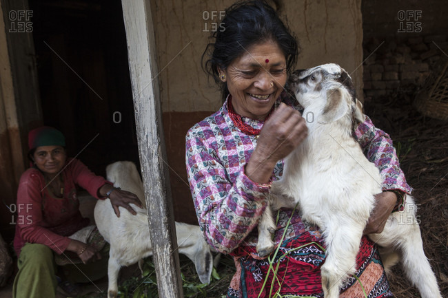 Lele Village, Bagmati, Nepal - May 4, 2015: Cattle's are not only milk providers to people in Lele, but are considered family members and loved equally.