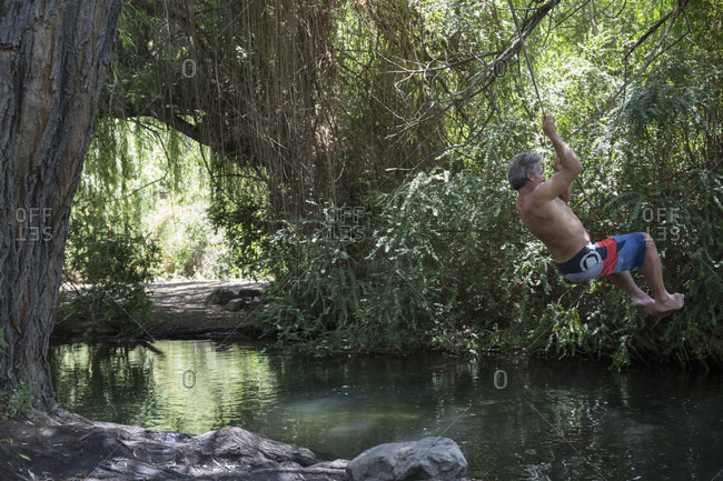 Mature man swings from tree on rope into freshwater lagoon