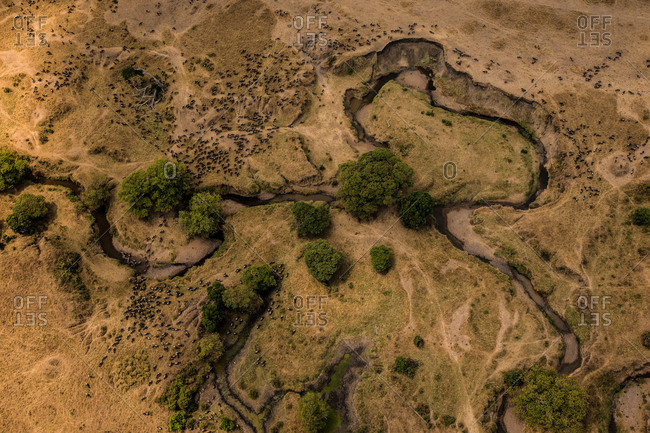 Wildlife habitat in Kenya's Masai Mara National Reserve.