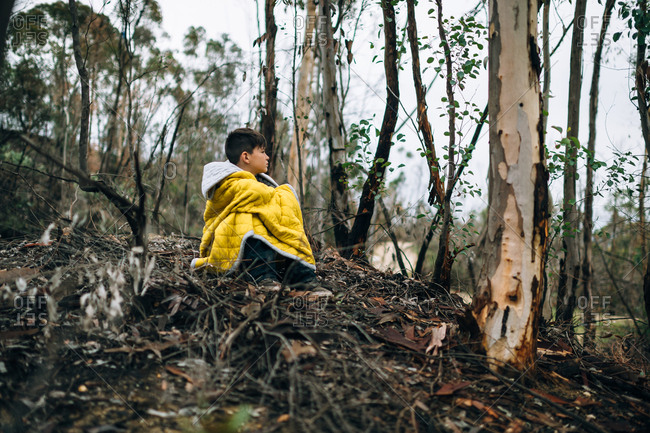 Boy in blanket sitting in woods