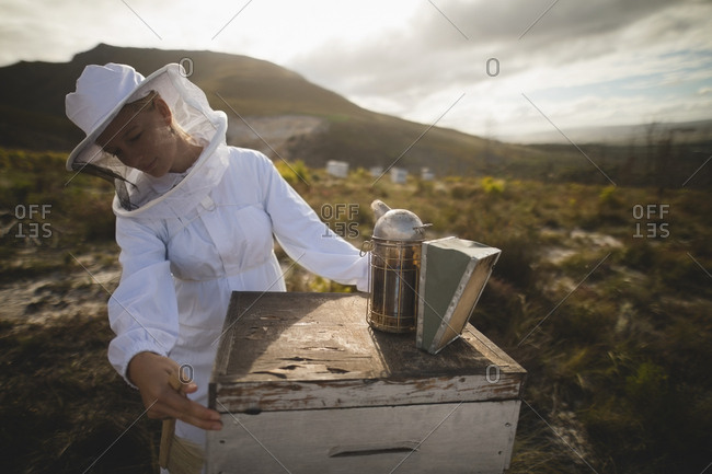 Female beekeeper examining beehive at apiary