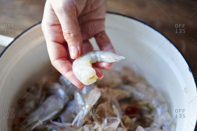 Hand holding freshly peeled shrimp