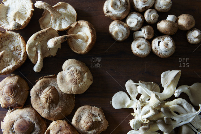 Arrangement of fresh mushrooms - Offset
