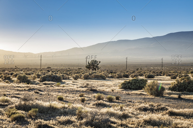 Power lines, windmills and mountains stand  in the distance of the Mojave Desert in California.