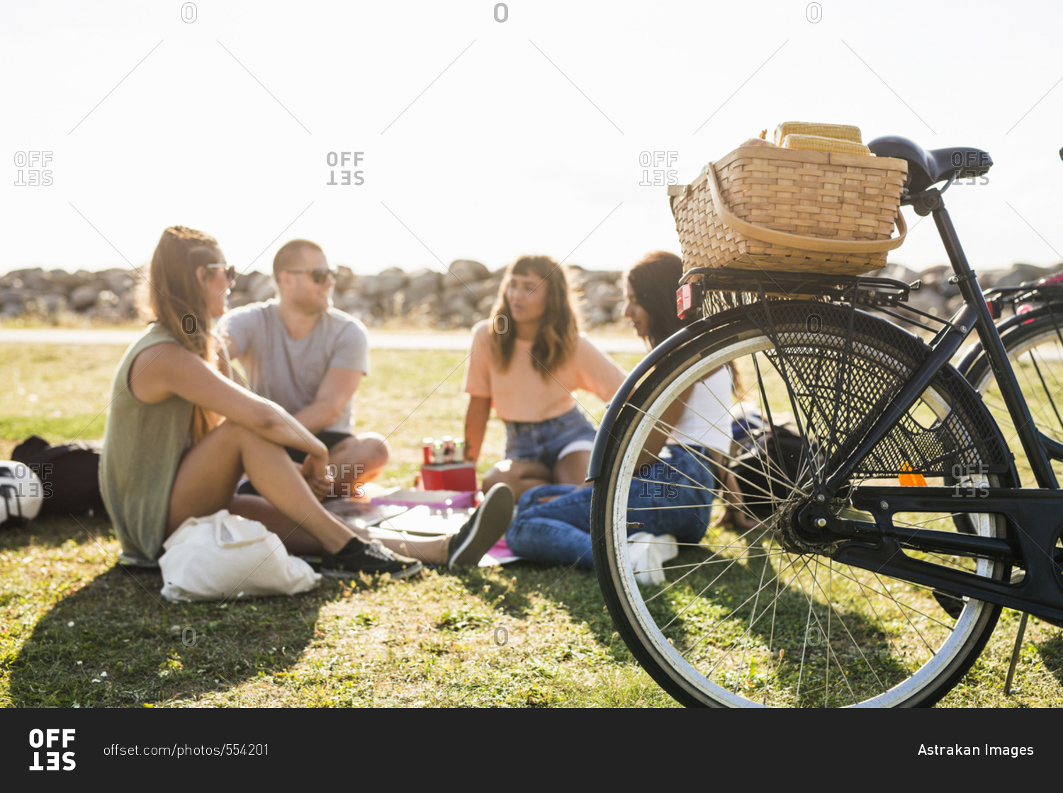 Friends having picnic