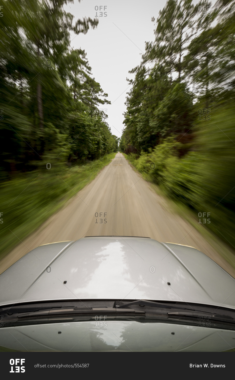 Off-road vehicle exploring road lined with longleaf pines in Croatan National Forest