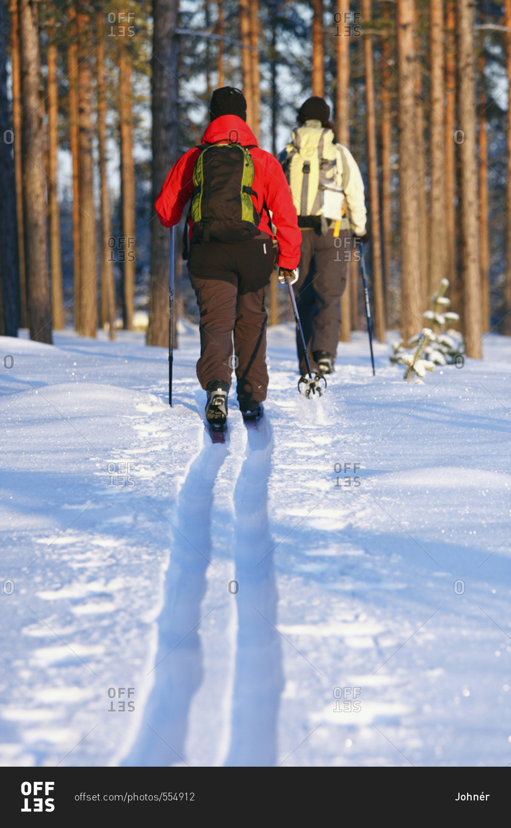 Women skiing in winter forest