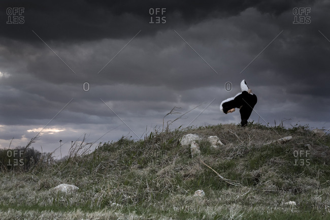 Child in a skunk costume standing on a hill beneath overcast skies