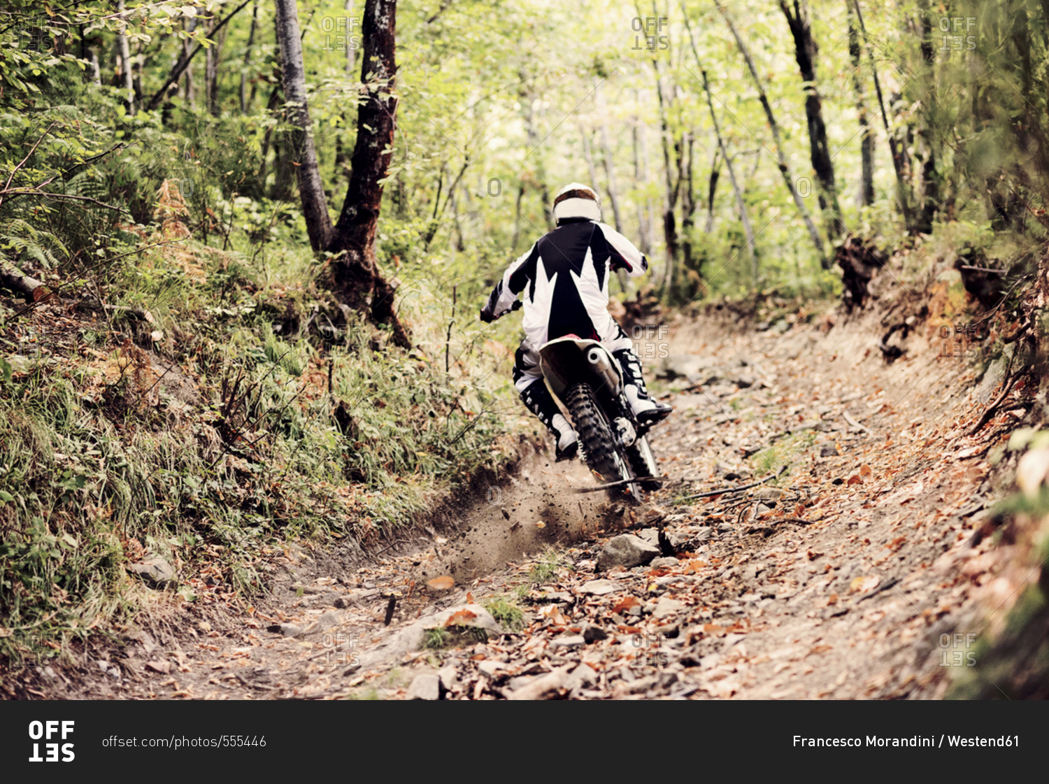Italy- Motocross biker ridding in Tuscan forest