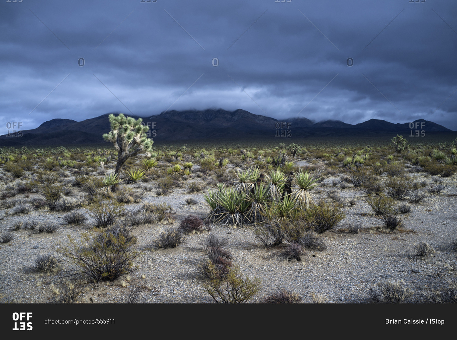 View of desert landscape and mountains against dramatic sky, Mojave Desert, Nevada, USA