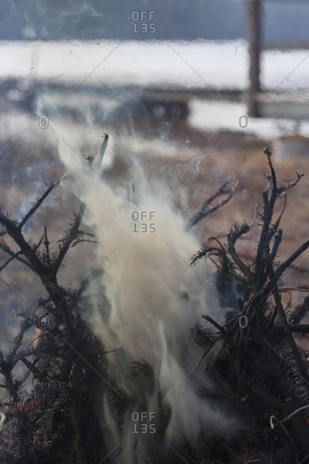 Smoke emitting from burnt branches