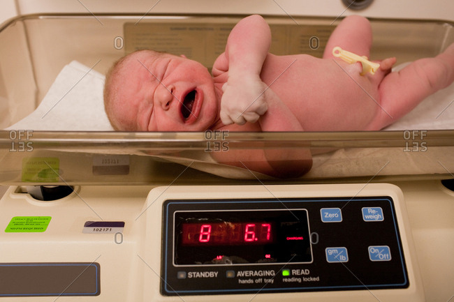 Newborn baby boy on weighing scales