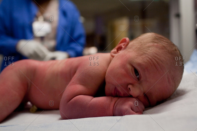 Newborn baby boy lying on front in hospital