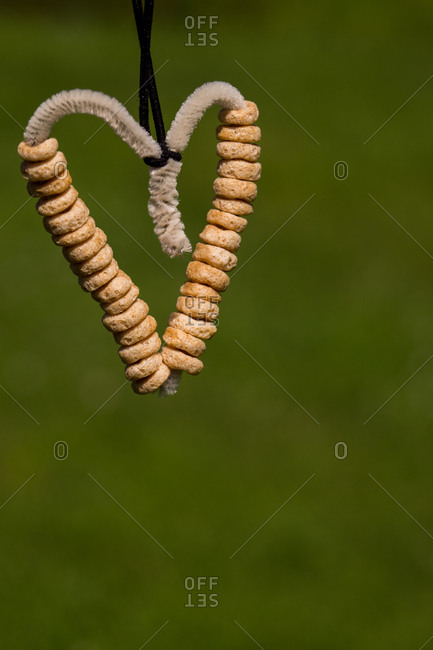 Heart Shaped Oat Cereal Bird Feeder Stock Photo Offset
