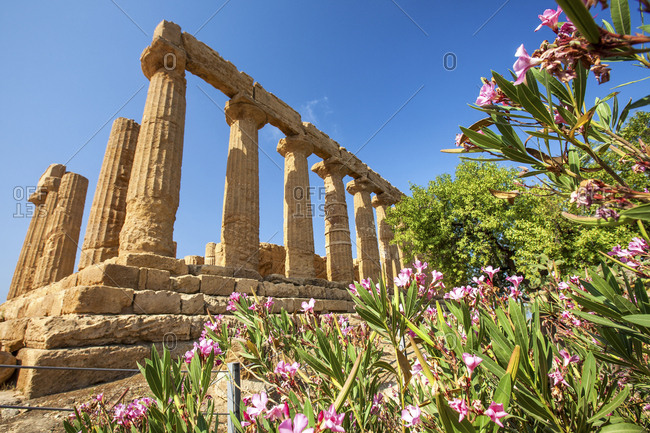 The Temple of Juno, a Greek temple of the ancient city of Akragas located in the Valle dei Templi, UNESCO World Heritage Site, Agrigento, Sicily, Italy, Europe