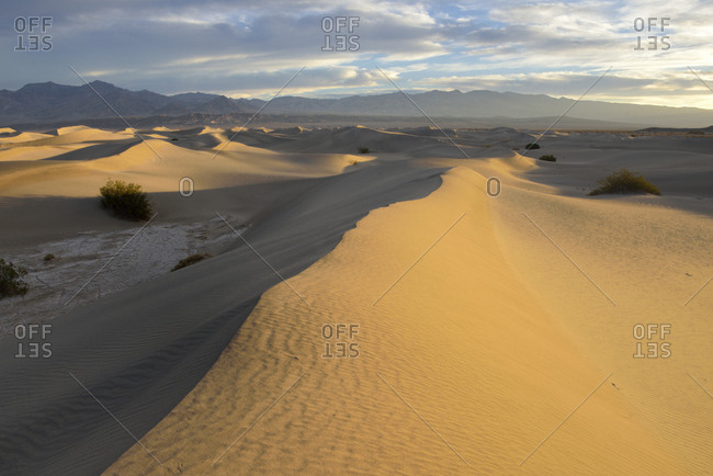USA, California, Death Valley, Mesquite Flat Sand Dunes at sunrise.