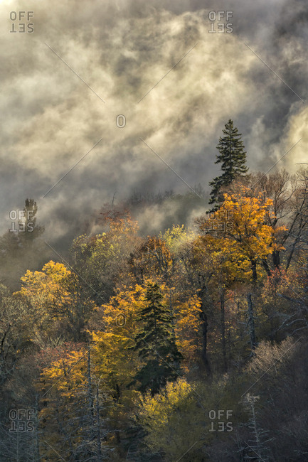 Autumn Colors and mist at sunrise, Blue Ridge Mountains from Blue Ridge Parkway at sunrise, North Carolina