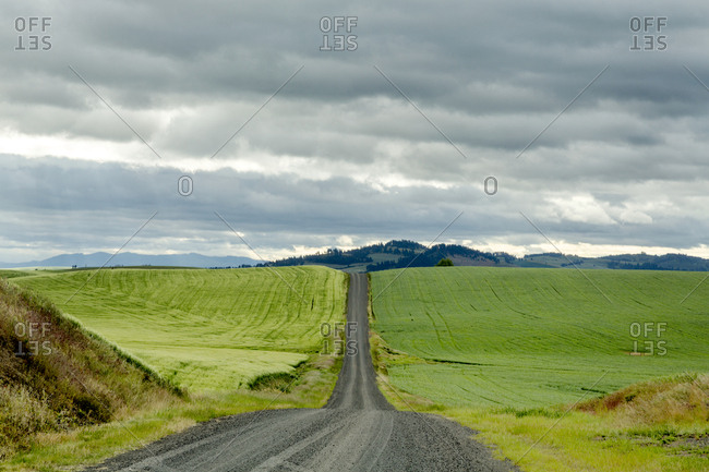 Expansive lonely road across rural rolling hills of the Palouse region of eastern Washington State.