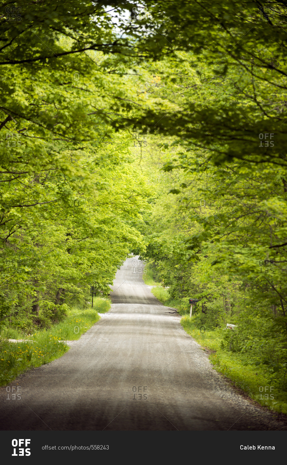 Country road in spring in Weybridge, Vermont stock photo OFFSET