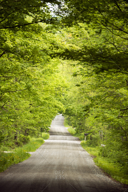 Country road in spring in Weybridge, Vermont