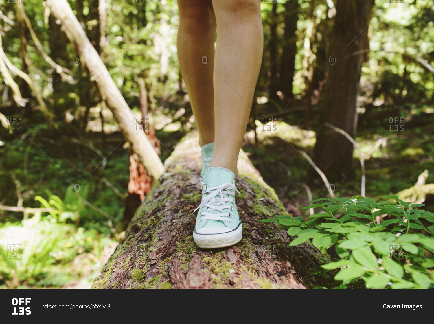 Low section of female hiker walking on log in forest