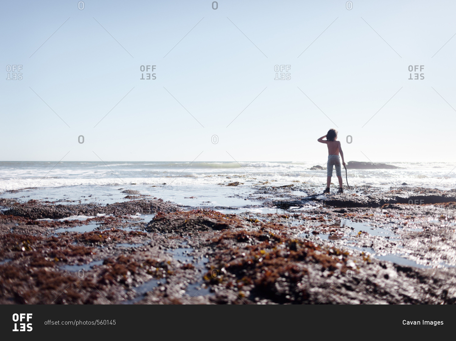 Rear view of shirtless boy holding stick standing at beach against clear sky during sunny day