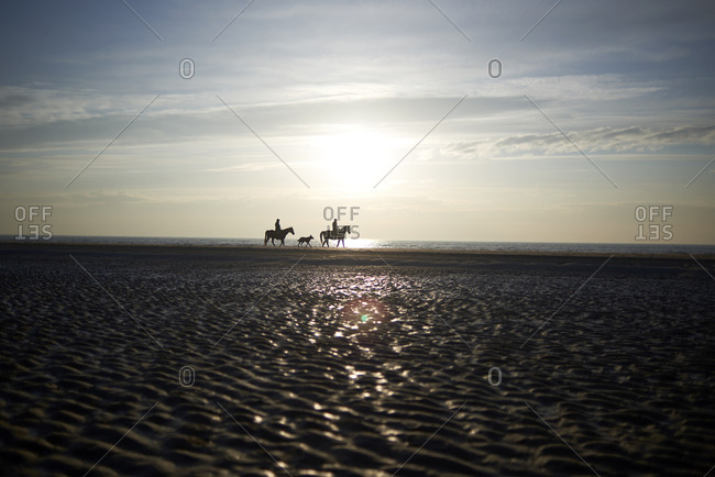 Mid distance view of silhouette people horseback riding at sandbar against sky during sunset