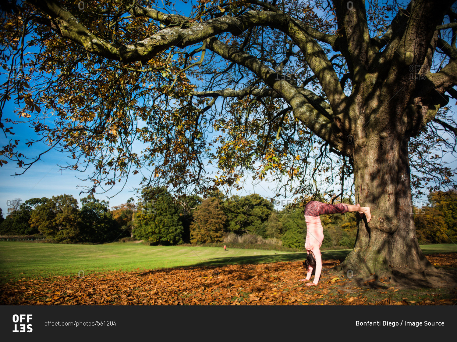 Woman doing yoga in park on autumn day