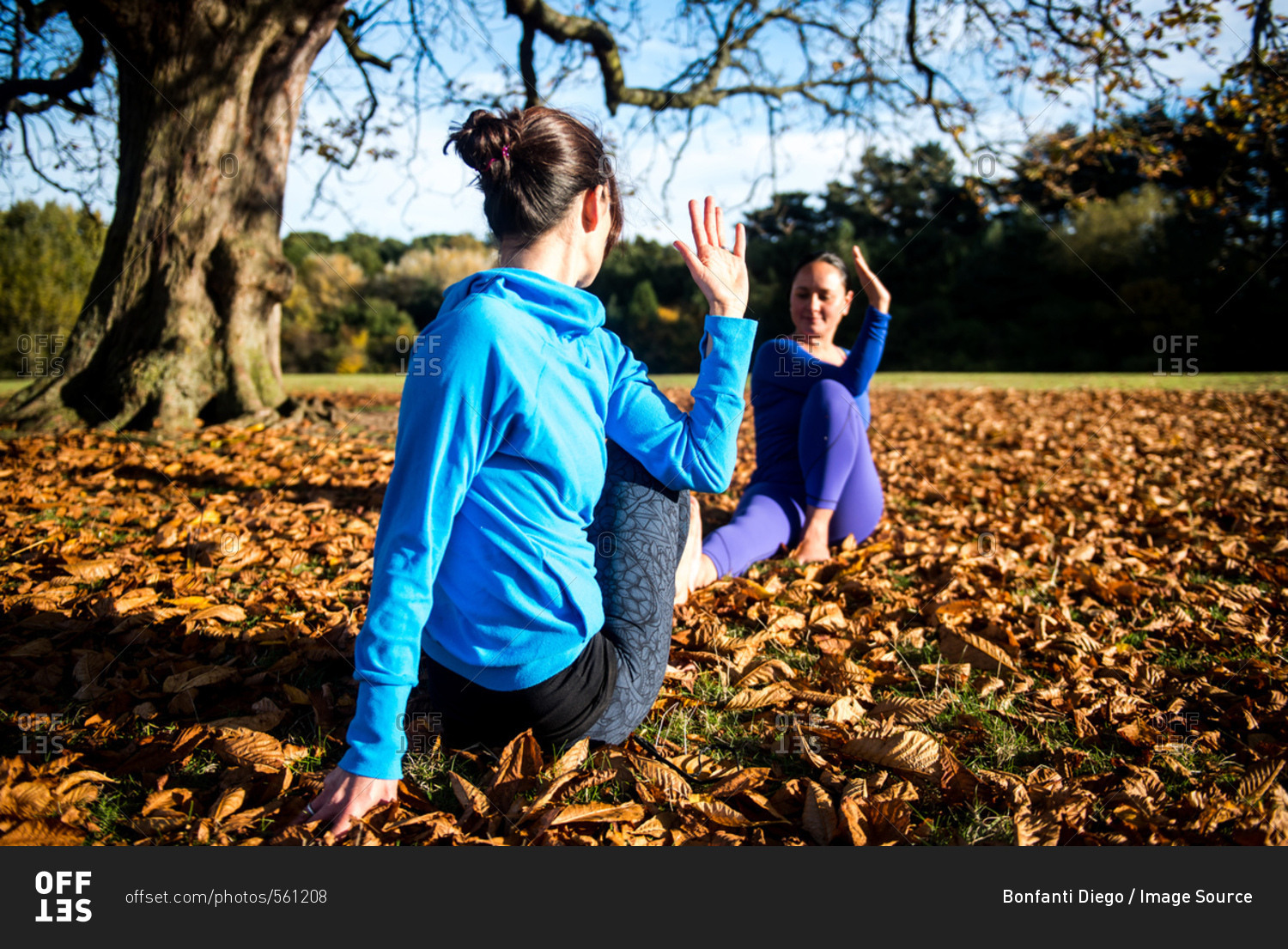 Two women doing yoga in park on autumn day