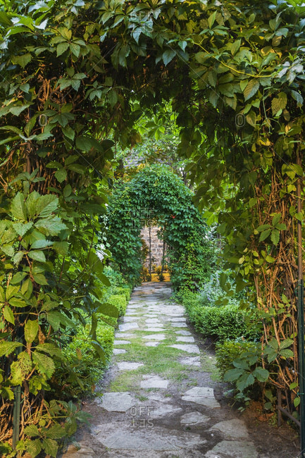Grey flagstone path through arbours covered with climbing Vitis - Vines in backyard garden at dusk in summer, Quebec, Canada