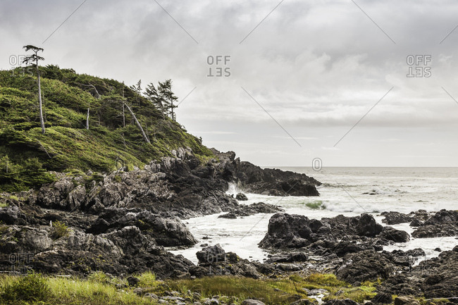 Rugged coastal landscape, Wild Pacific Trail, Vancouver Island, British Columbia, Canada