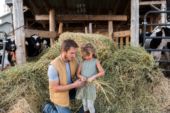 Father and daughter beside cow shed, daughter holding hay