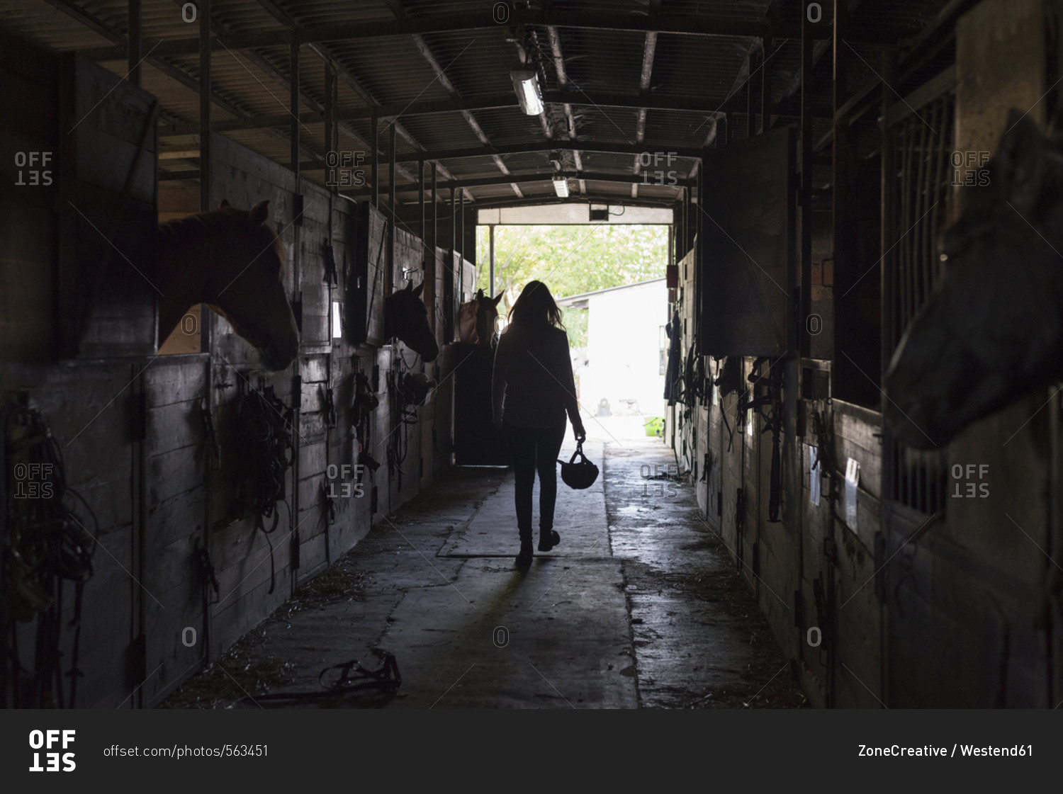 Young woman walking in horse stable