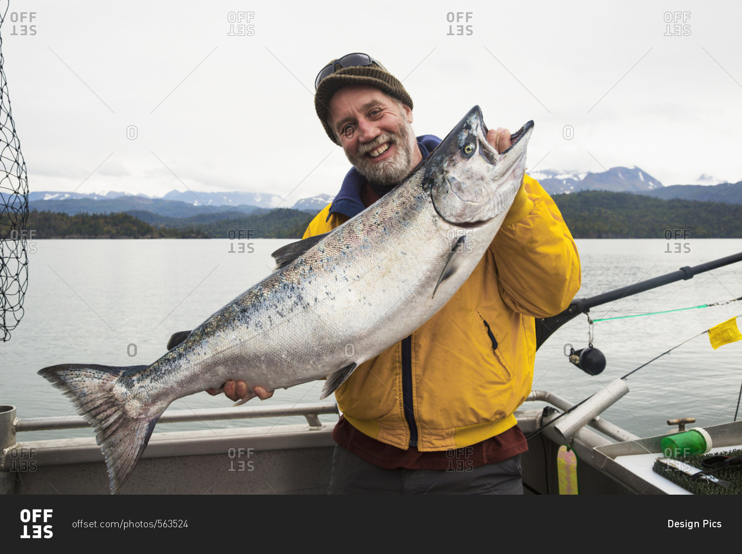 Success catching King Salmon (Chinook Salmon) (Oncorhynchus tshawytscha) near Homer, Alaska in Kachemak Bay, Alaska, United States of America