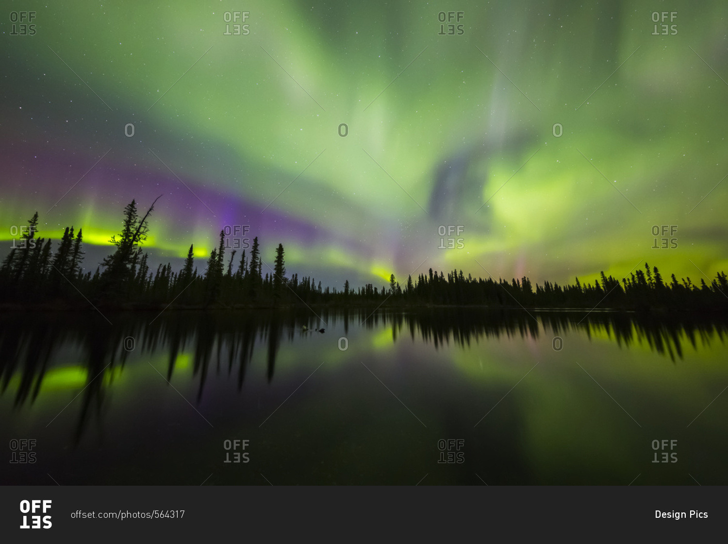 The aurora borealis fills the sky above the Clearwater River in Delta Junction, Alaska, United States of America