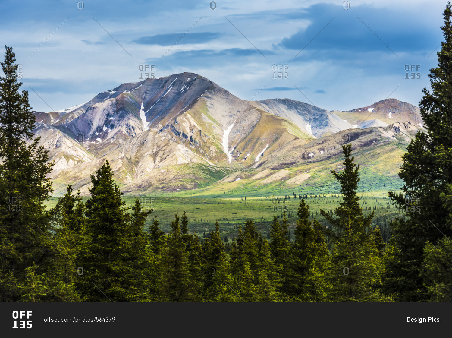 A scenic view of the Alaska Range in Denali National Park near the Savage River on a summer day in South-central Alaska, Alaska, United States of America