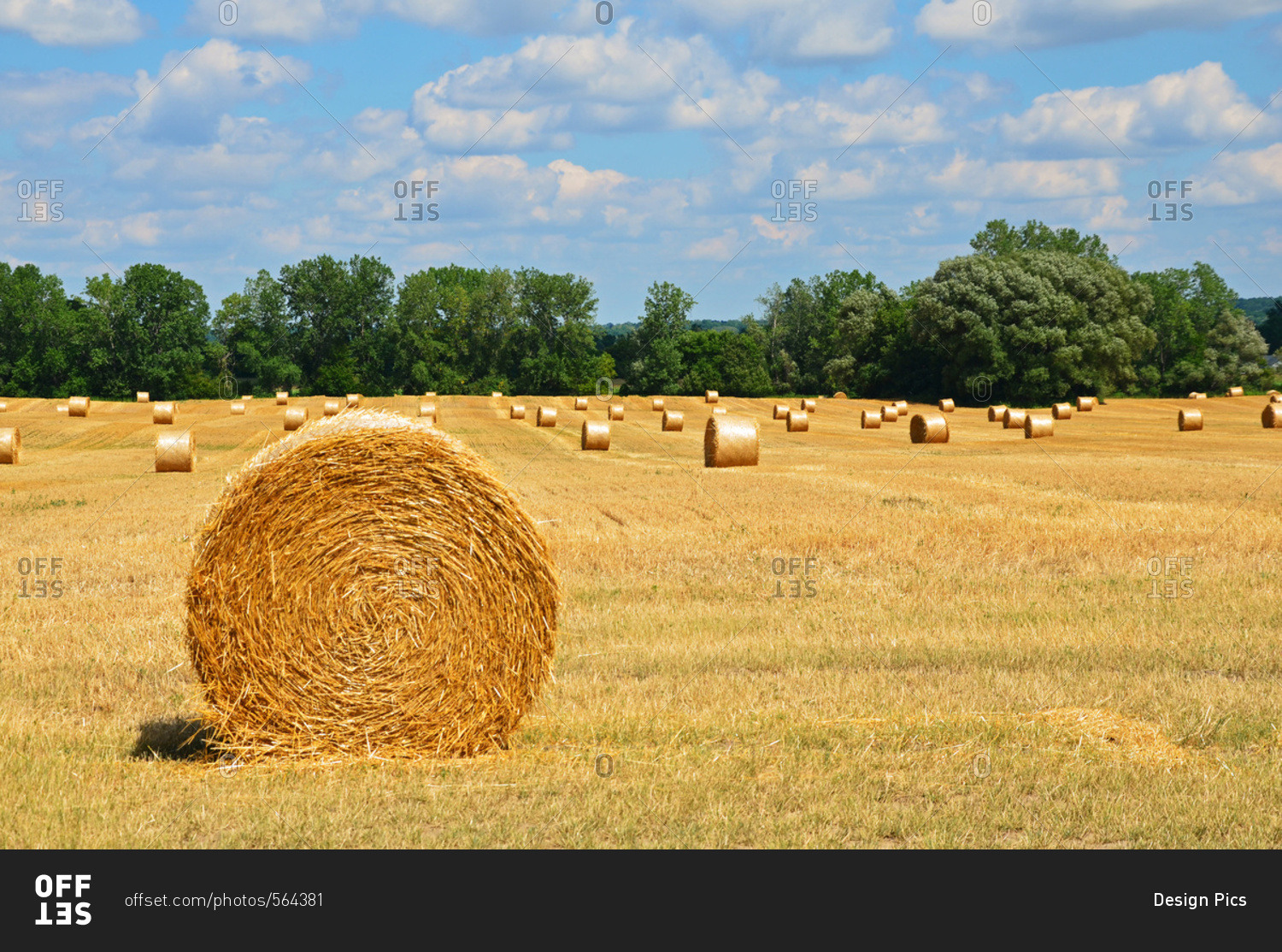 Bales of hay in a field with trees on the edge of the field under blue sky with cloud, New York, United States of America