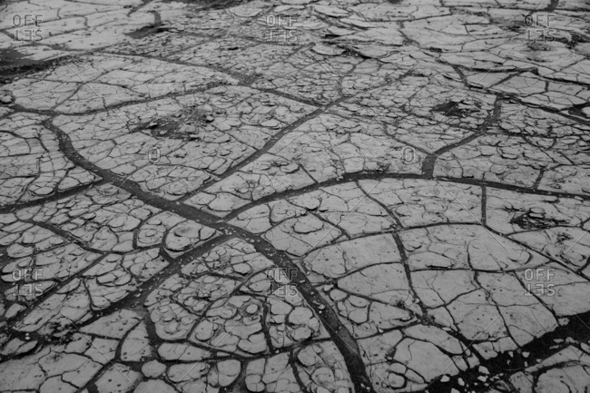 Dried, cracked earth with lines  intersecting