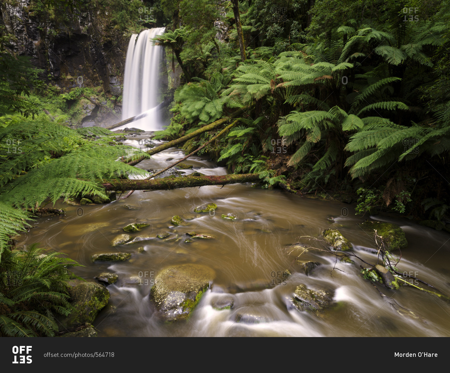 Hopetown Falls in the Great Otway National Park, Australia