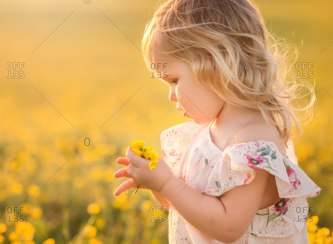 Little girl collecting yellow flowers in a field