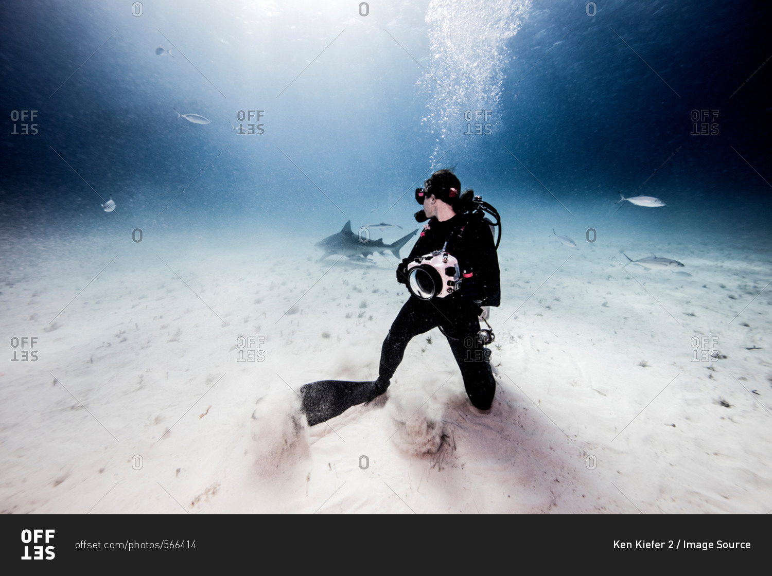Underwater view of female underwater photographer, looking back from seabed