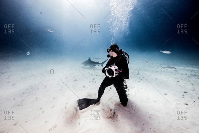 Underwater view of female underwater photographer, looking back from seabed
