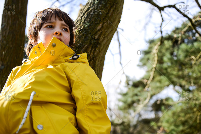 Boy in yellow anorak leaning against park tree
