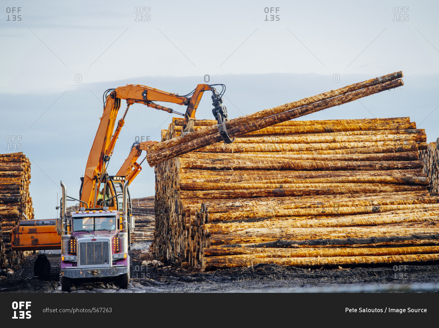 Heavy machinery, moving cut logs